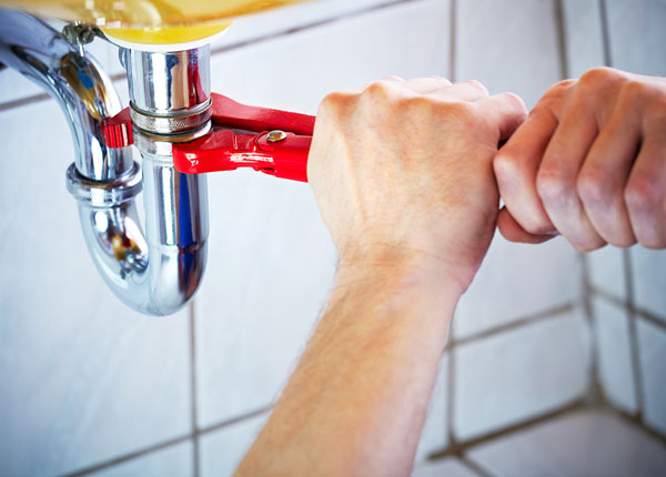 About Paradise Plumbers